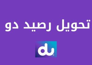 تعرف على تحويل رصيد دو محليًا ودوليًا بالتفصيل