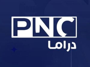 تردد قناة بانوراما دراما الجديد 2023 على النايل سات