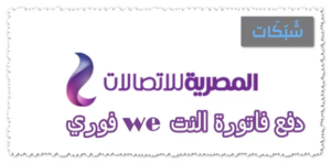 5 طريقة دفع فاتورة النت we فوري 2023