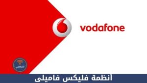 أنظمة فليكس فاميلى وأبرز مزاياها