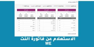 الاستعلام عن فاتورة النت we بعدة طرق مختلفة