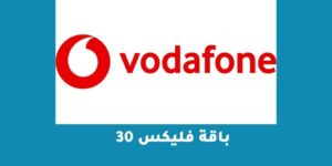 الاشتراك في باقة فليكس 30 بأكواد مختصرة 2023