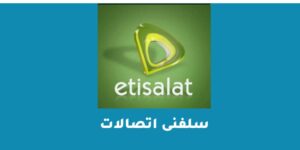 سلفنى اتصالات نت ومكالمات – شبكنجي