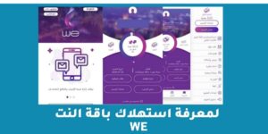 لمعرفة استهلاك باقة النت we من تطبيق my we أو الموقع الرسمي