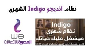 باقات Indigo الشهرية من WE وأكواد نظام Indigo